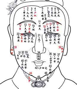 左腿有痣